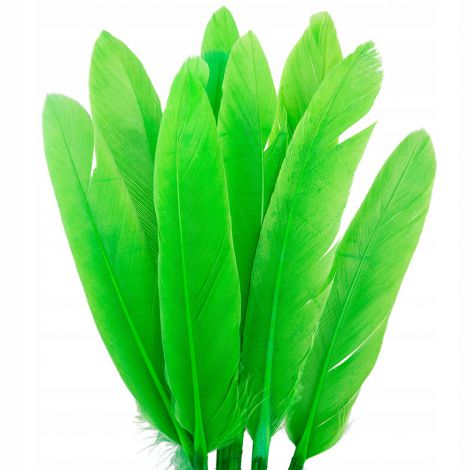 Piórka lotki Czakos 17cm, Zielone
